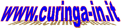www.curinga-in.it   