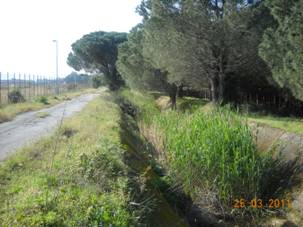 Descrizione: C:\Users\Cesare\Desktop\Foto 1 - Situazione prima dell'intervento.jpg