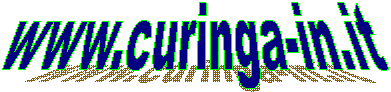 www.curinga-in.it   