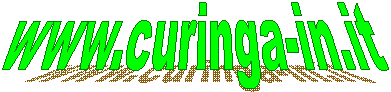 www.curinga-in.it   