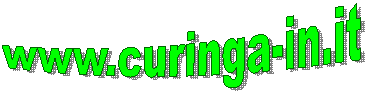 www.curinga-in.it