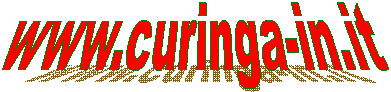 www.curinga-in.it