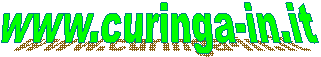 www.curinga-in.it