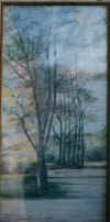 albe_ri_11.jpg (20588 byte)