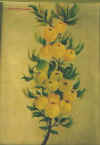 albe_ri_9.jpg (10356 byte)