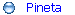 Pineta