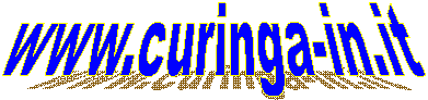 www.curinga-in.it   