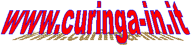 www.curinga-in.it   