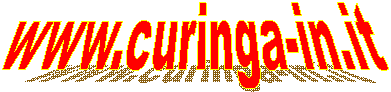 www.curinga-in.it   