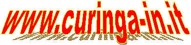www.curinga-in.it   