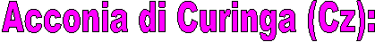 Acconia di Curinga (Cz): 