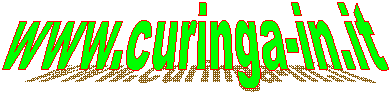 www.curinga-in.it   