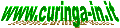 www.curinga-in.it   
