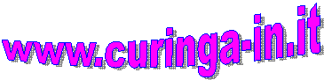 www.curinga-in.it
