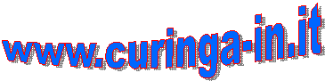 www.curinga-in.it
