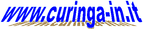 www.curinga-in.it
