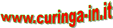 www.curinga-in.it