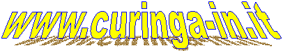 www.curinga-in.it