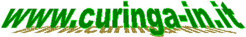 www.curinga-in.it