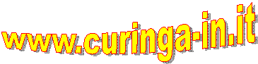 www.curinga-in.it