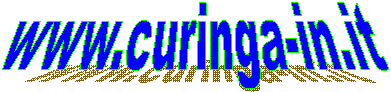 www.curinga-in.it   