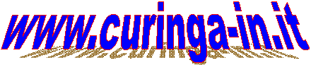 www.curinga-in.it   