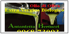 Casella di testo: 