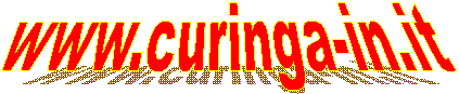 www.curinga-in.it