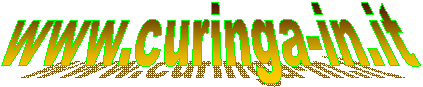 www.curinga-in.it