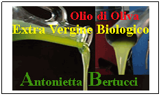 Casella di testo: 
