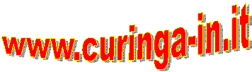 www.curinga-in.it