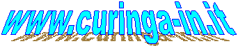 www.curinga-in.it