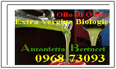 Casella di testo: 